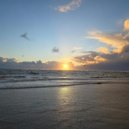 Vakantiehuis 4 Person In *