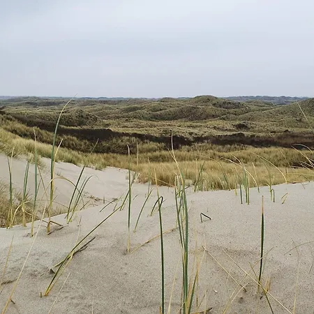 4 Person In Vakantiehuis Blåvand